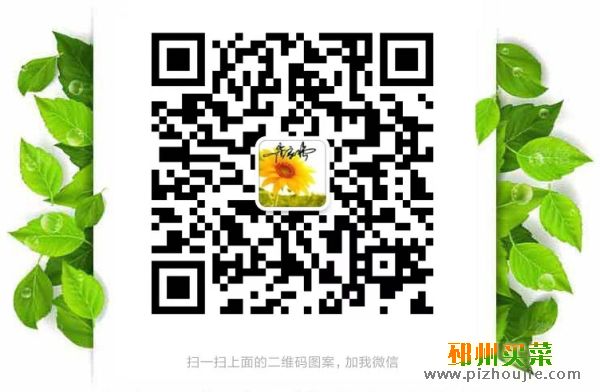 微信支付宝收款码贴纸