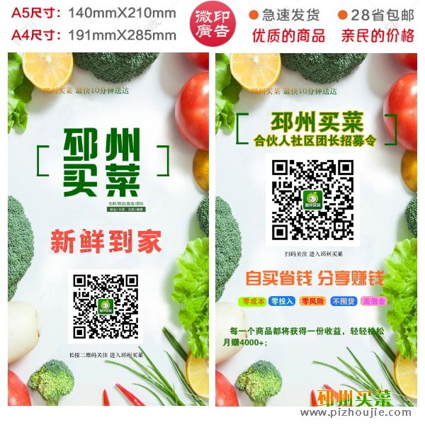 照片 彩页 A4 A5宣传单物料海报