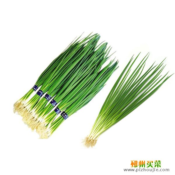 小葱 香葱