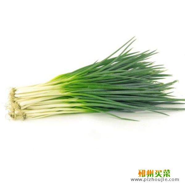 小葱 香葱