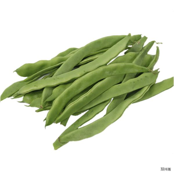 扁梅豆