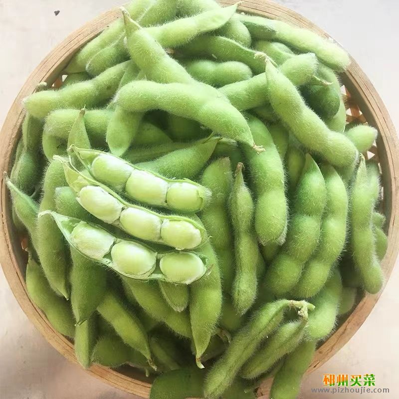 毛豆