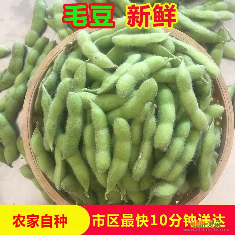 毛豆