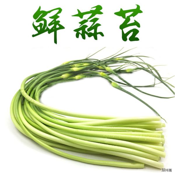 蒜苔