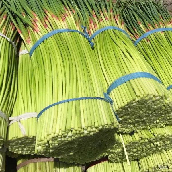 蒜苔