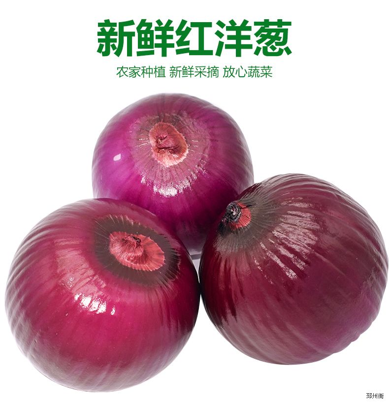 洋葱