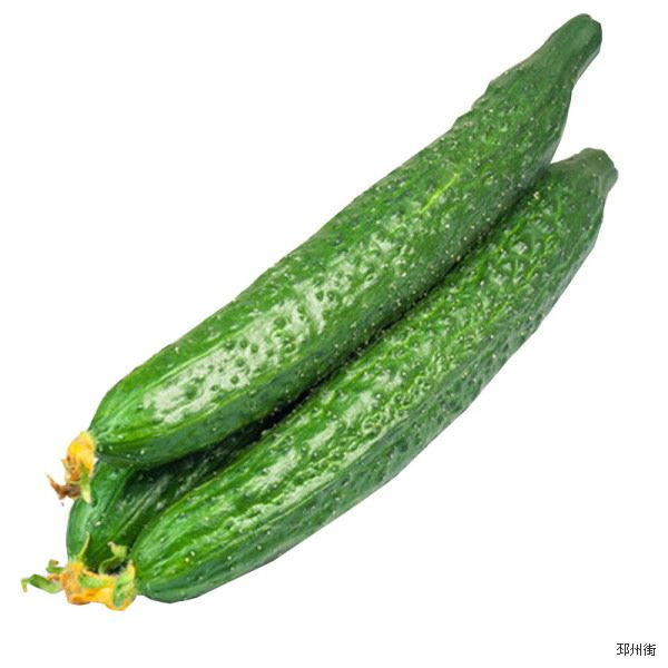 黄瓜