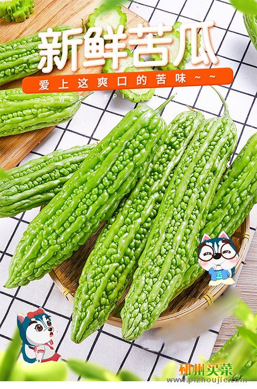 苦瓜