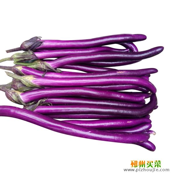 线茄子 长茄子