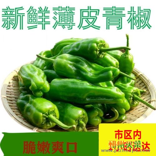 青椒