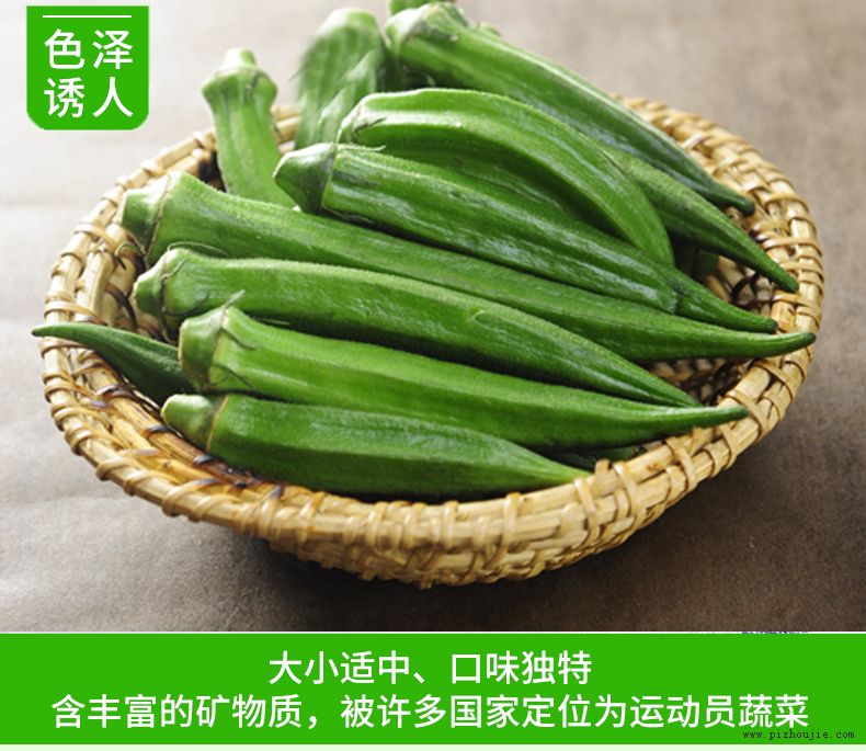 秋葵