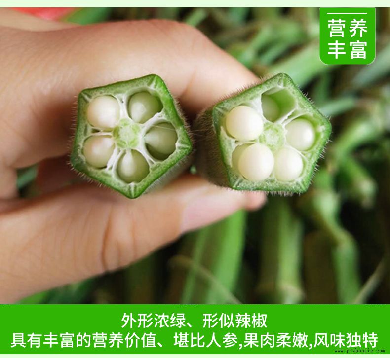 秋葵
