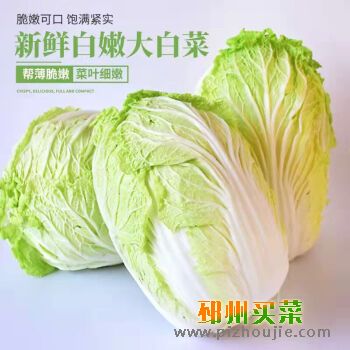 白菜
