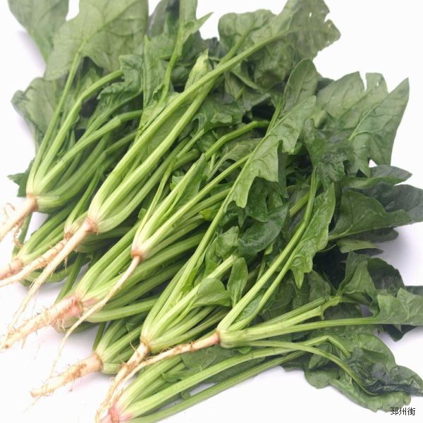 菠菜