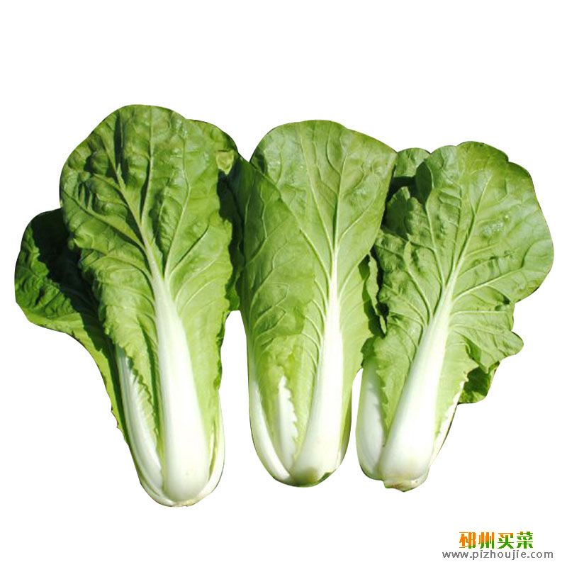黄白菜