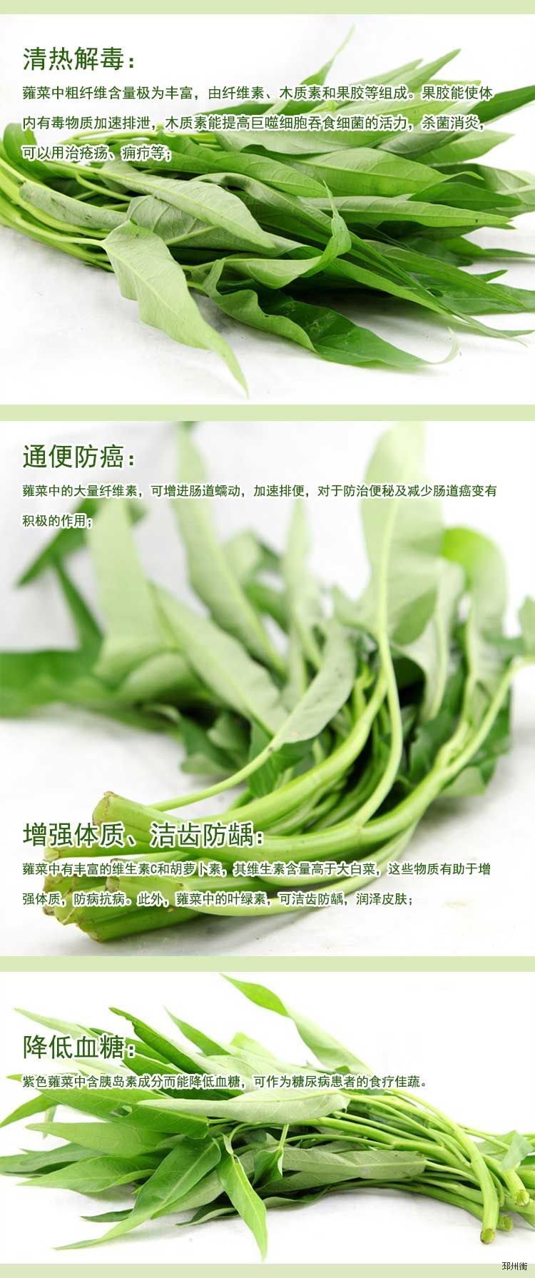 空心菜