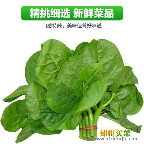 木耳菜