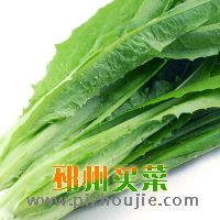 油麦菜